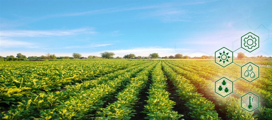 Bericht Pop3 subsidie voor kennisontwikkeling agrarische ondernemers bekijken